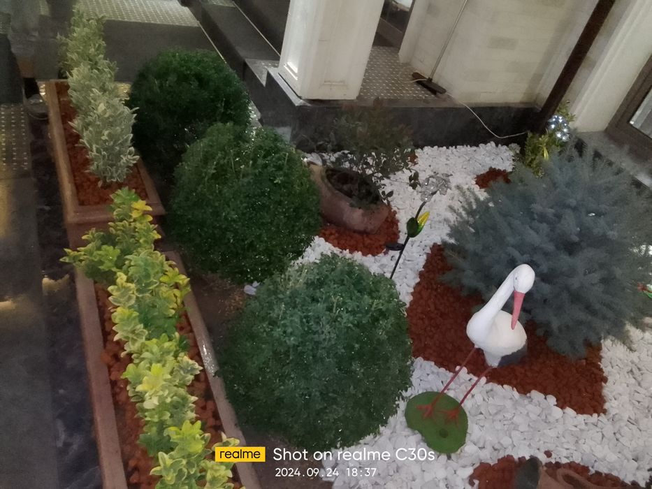 Gazon va landshaft xizmatlari