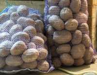 Продам картофель высокого качества сорт гала 100-140