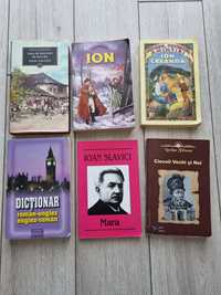 Lot cărți literatura română