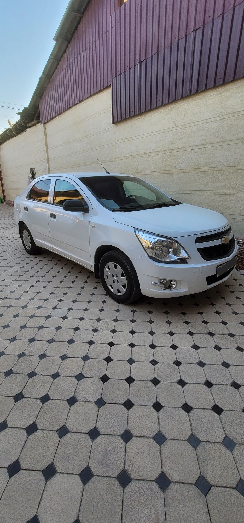 Arendaga cobalt beriladi