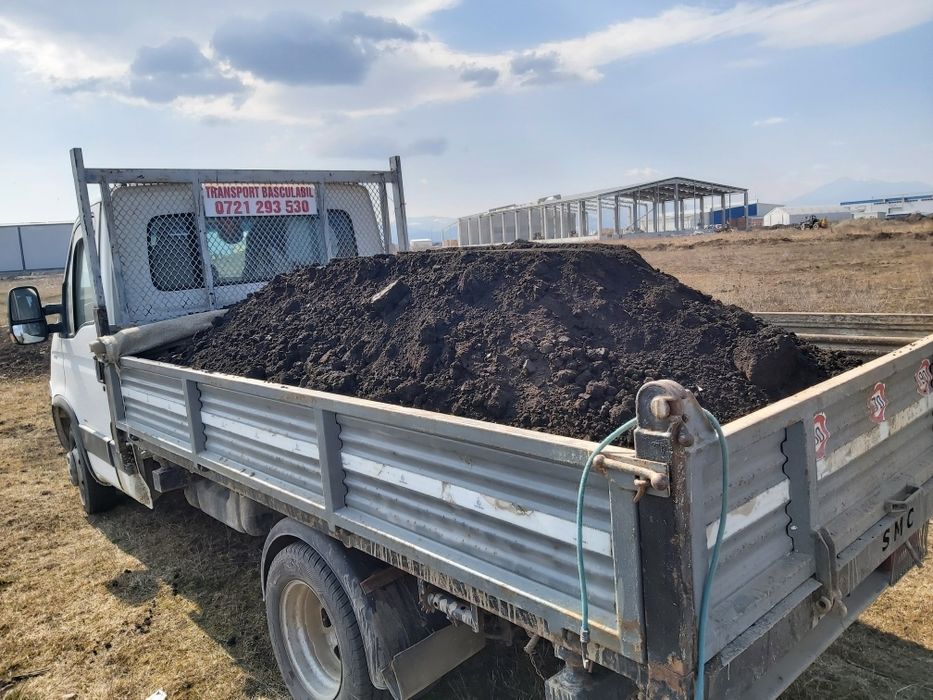 pamat negru vegetal 120 lei/mc