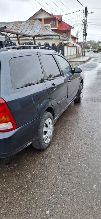 Vand intreaga sau dezmebrez