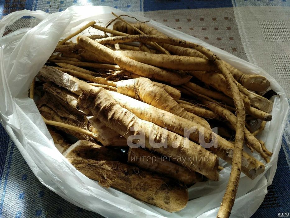 свежие корни хрена  Удобно забрать Район Центрального рынка