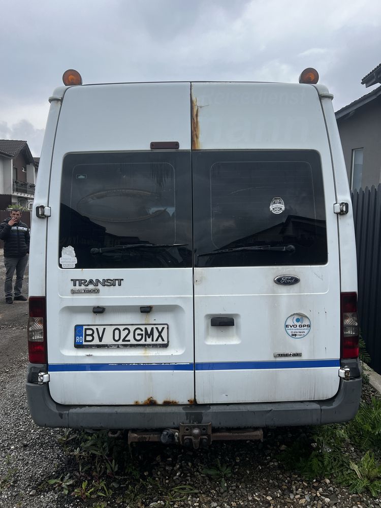 Ford Tranzit (mare)