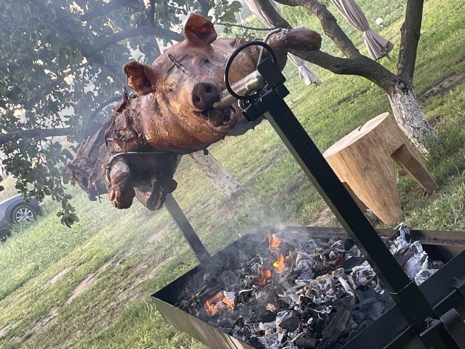 Vand rotisor bbq 60 kg , porc , pui , berbec