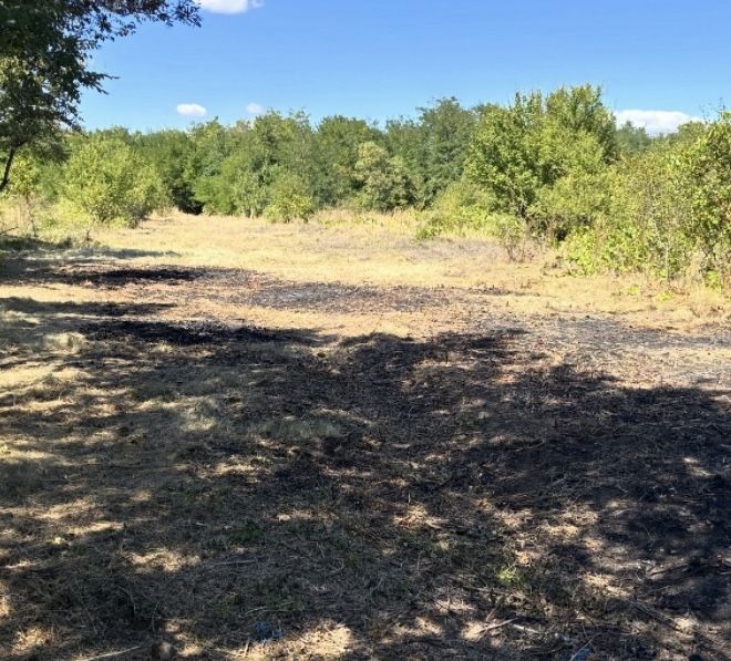 Vand 1000 mp intravilan in Boteni la 40 km de București