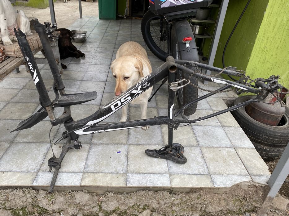 Рама фетбайк б/у продам