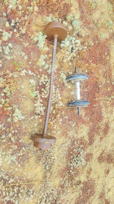 Продам штанг гантел