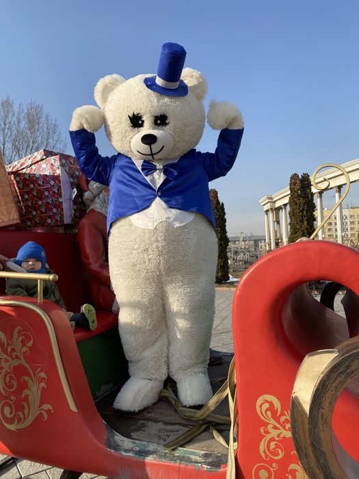 Прокат костюма, мишка Тедди