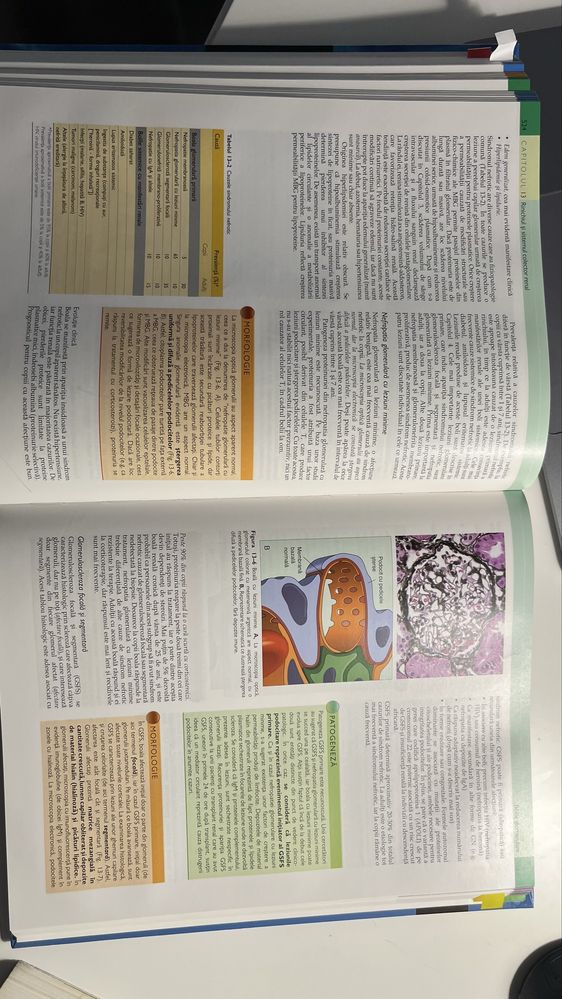 Robbins PATOLOGIE- Bazele morfologice si fiziopatologice editia 9a