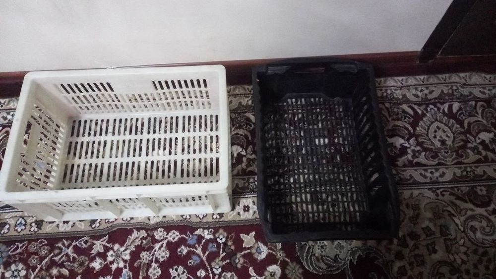 Yangi yashiklar ideal