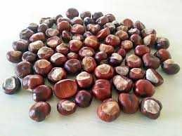 Castane necomestibile pentru uz extern,medicinal(infuzii,tincturi)