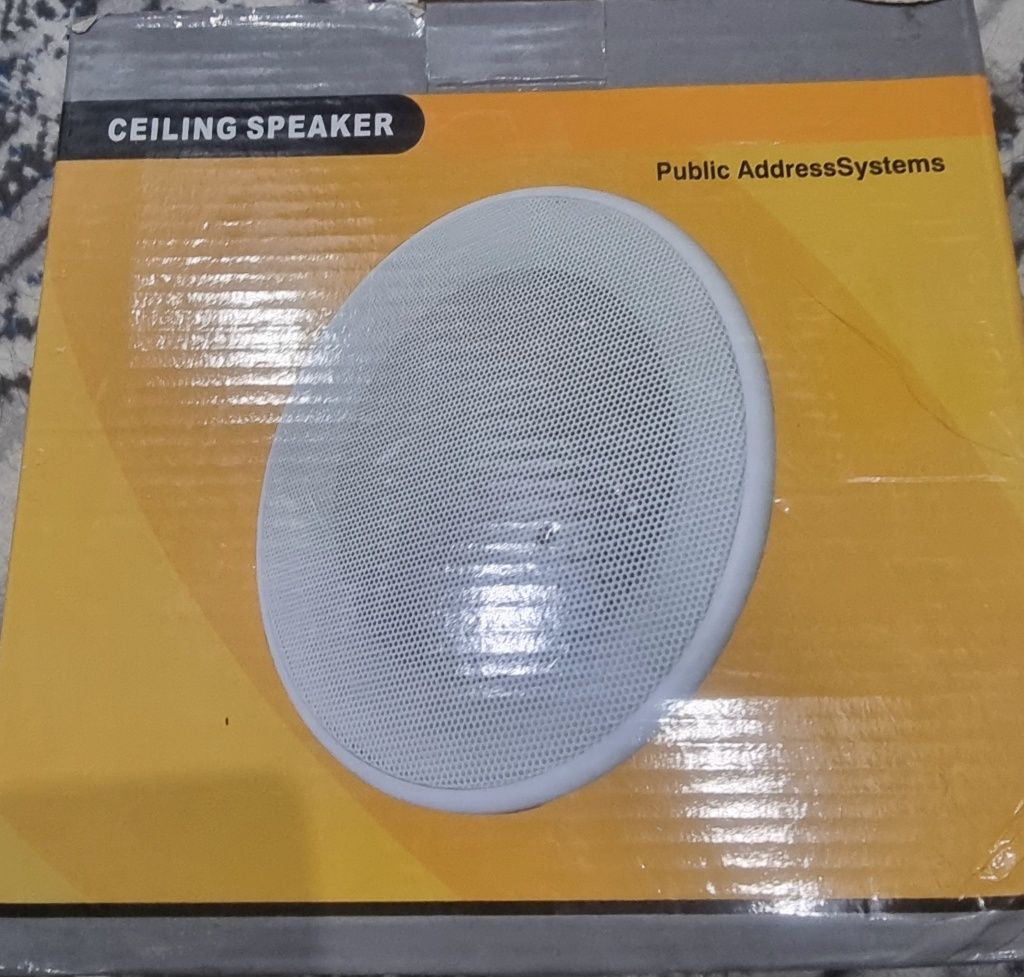 Potolochniy kolonka speaker
