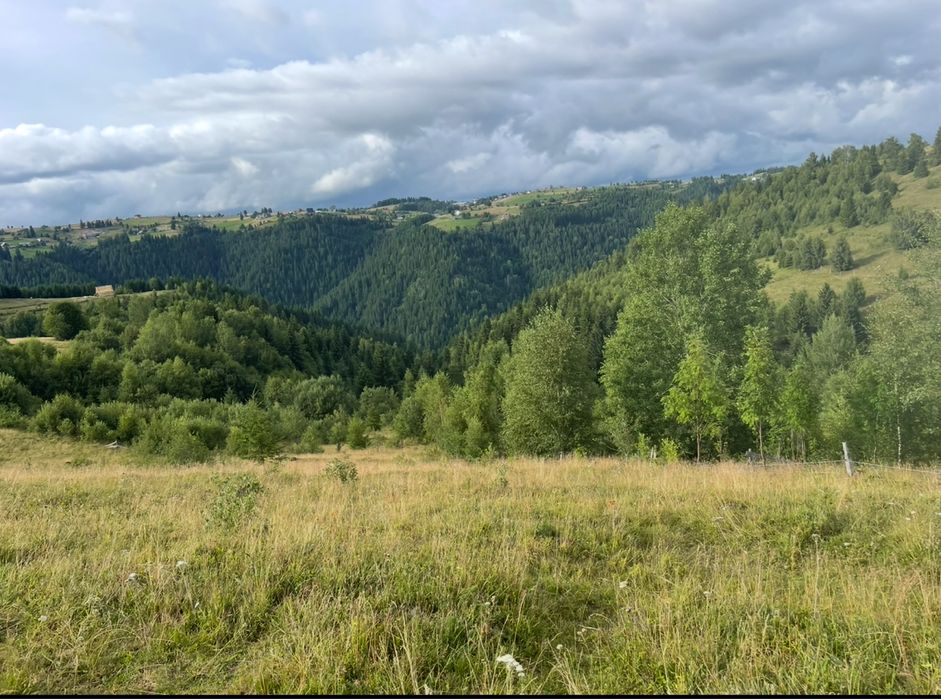 Teren de vânzare la munte în Măguri, Măguri-Răcătău,9185 mp, pt Cabana