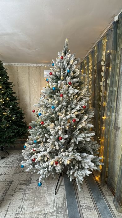 Ёлки оптом багада