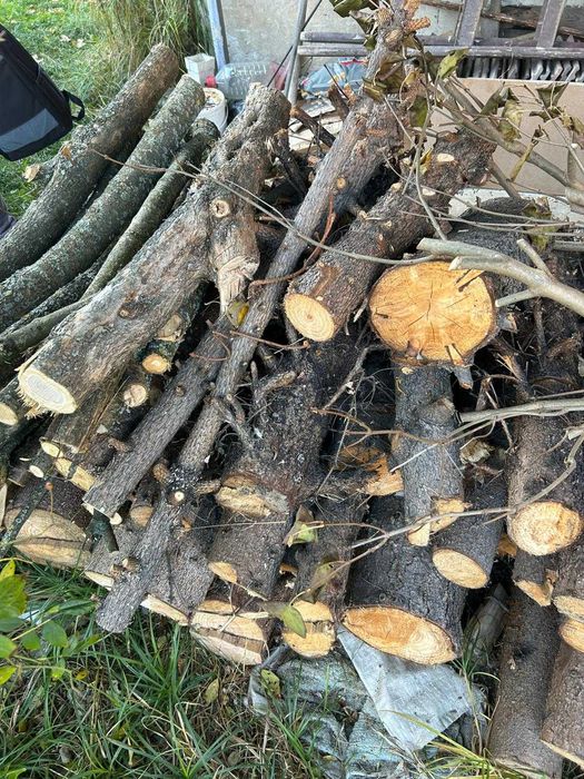 Vand lemne foc Sibiu