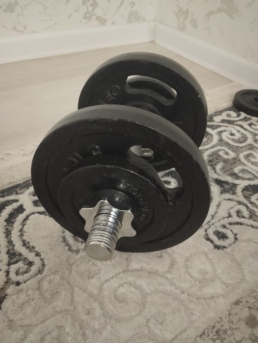 Гантел 12кг массанабор