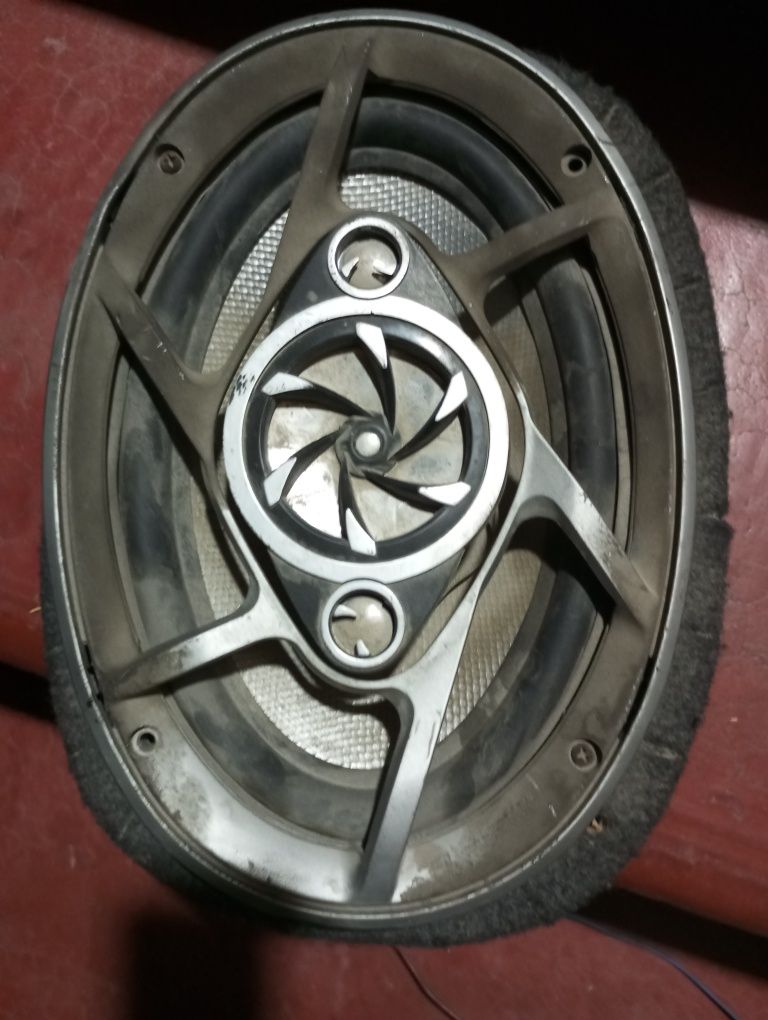 Pioneer kolonka  1dona