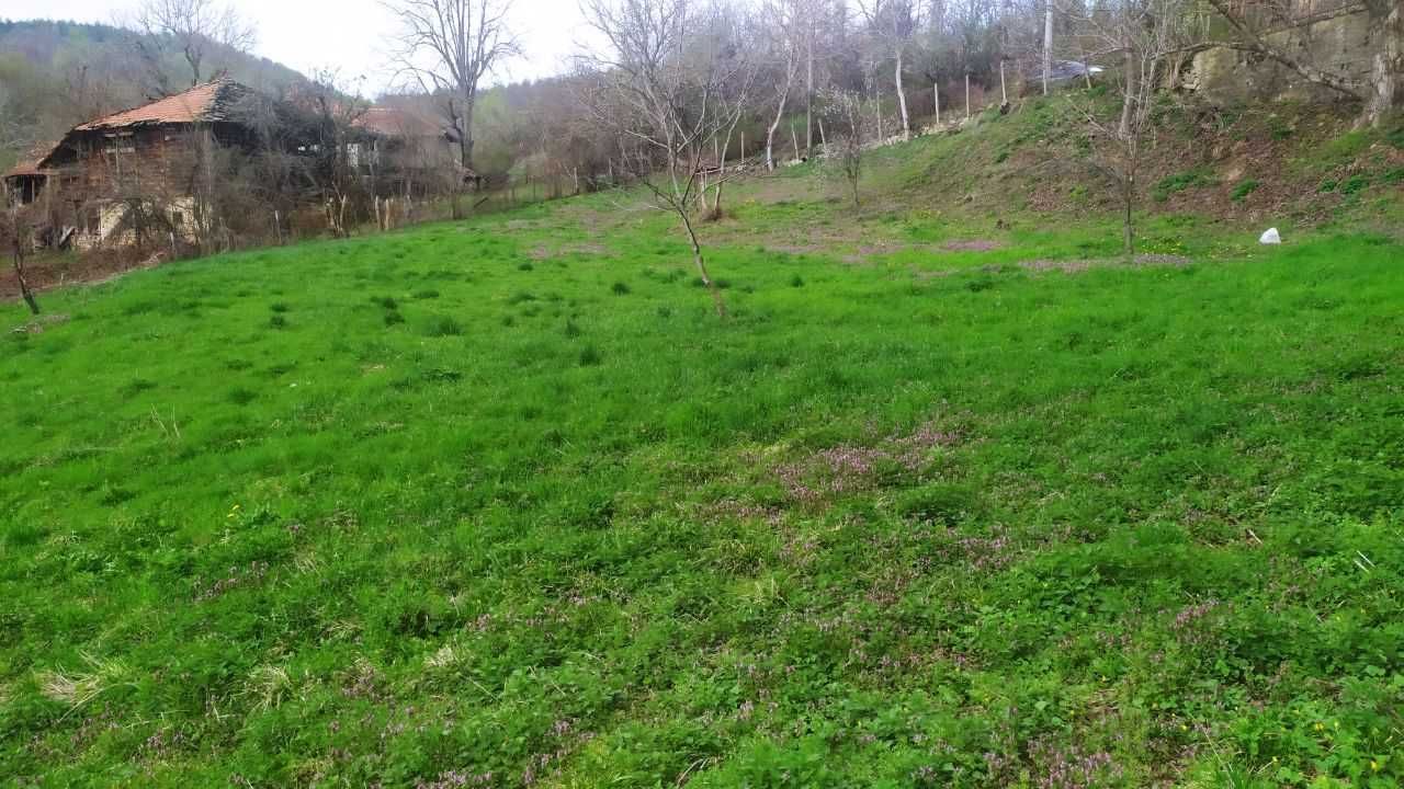 Парцел в регулация