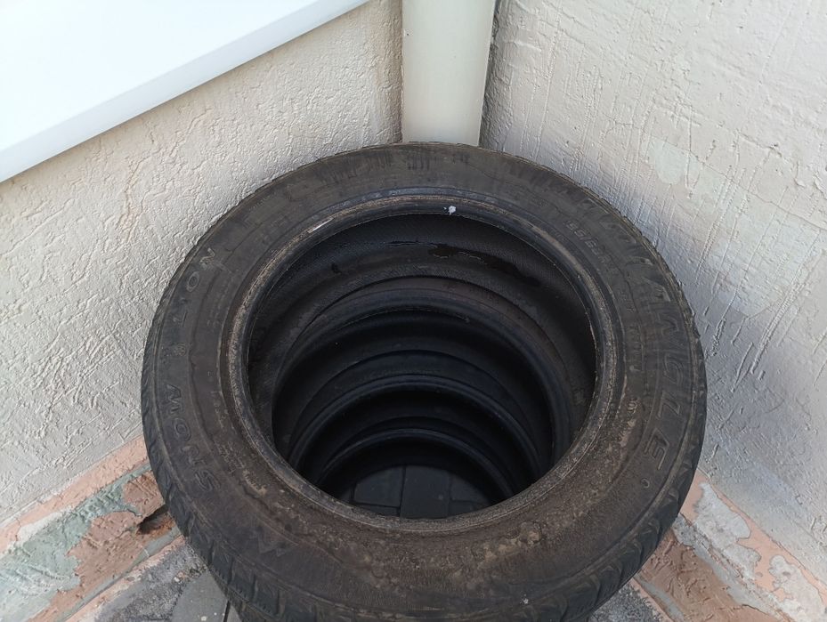 Зимние шины Triangle