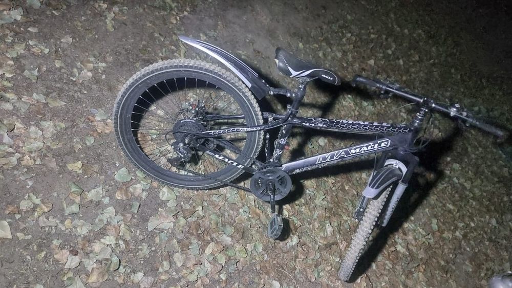 Велик жағдайы жақсы