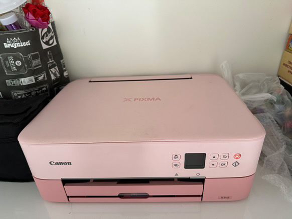 Принтер CANON PIXMA TS5352A Pink