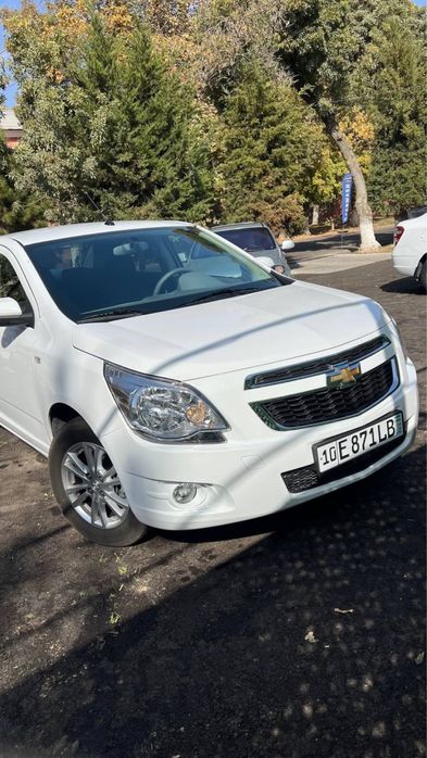 Cobalt 4-pozitsiya, nasiyaga sotiladi
