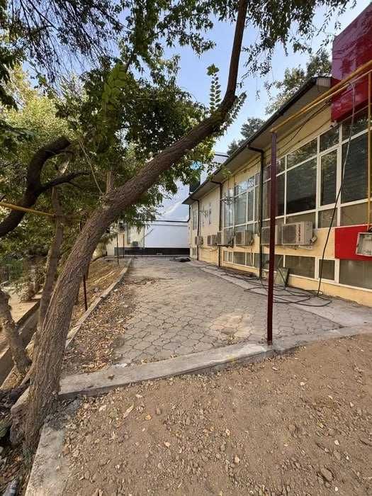 Аренда Кафе Ориентир Ганга