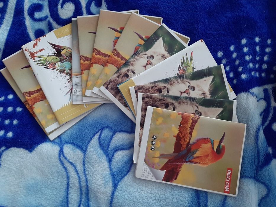 Set de caiete de dictando și doua cu foaie velină și creioame