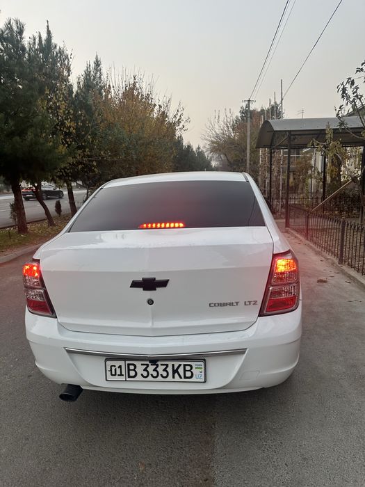 COBALT midningt 2025