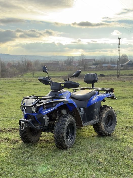 Linhai Dragonflay 300 4x4