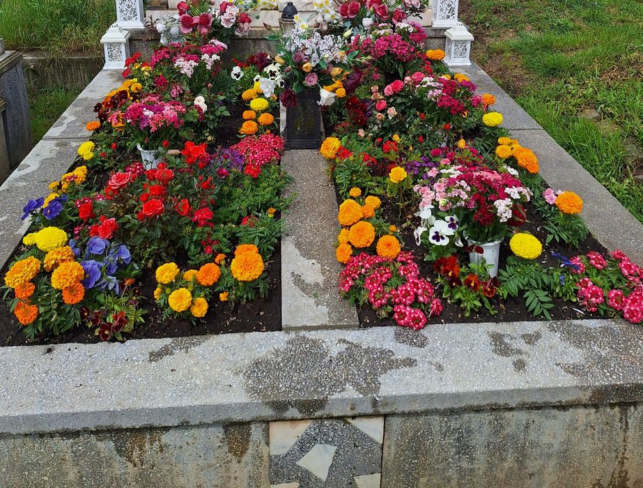 Vând două locuri de veci cimitirul Corona