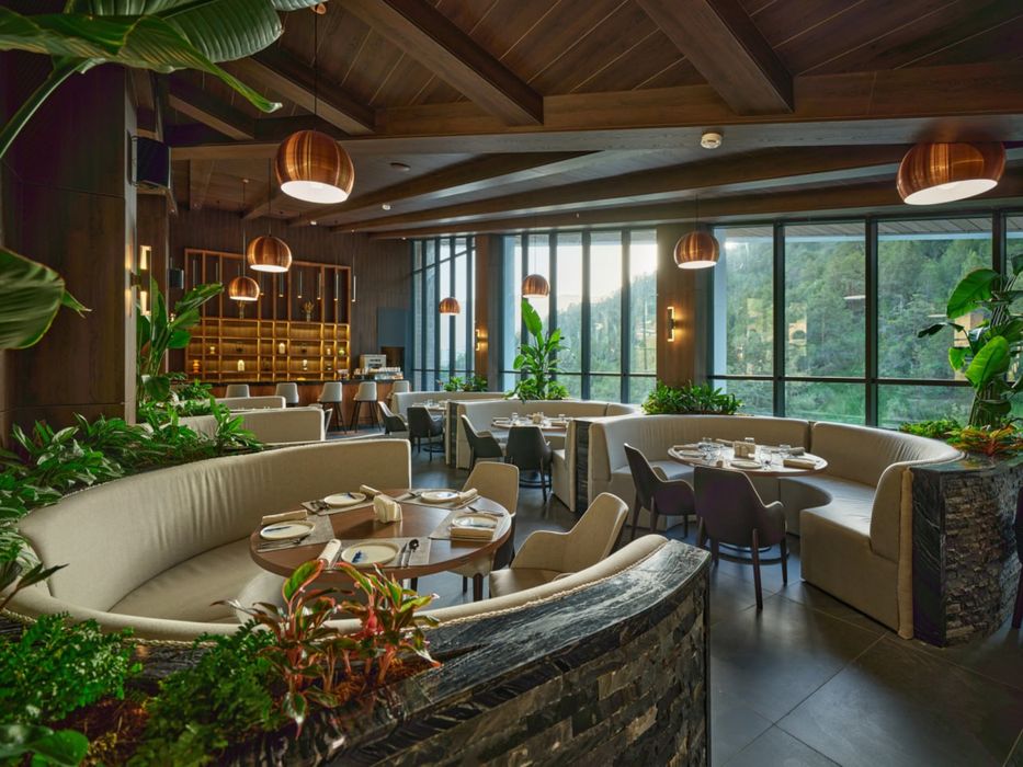 Новый год в Заамине