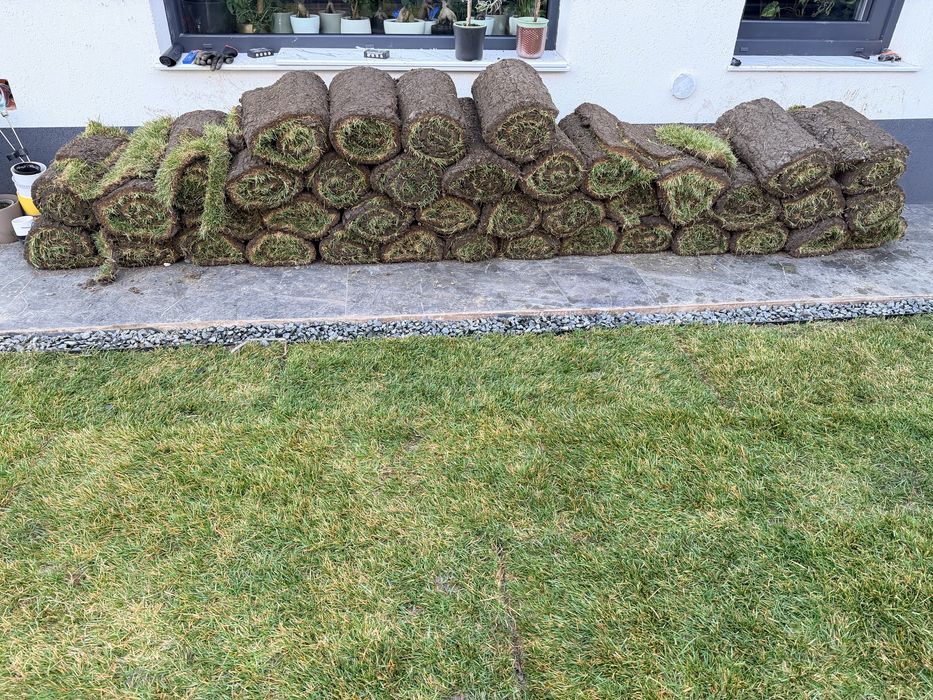 Gazon rulou proaspat recoltat