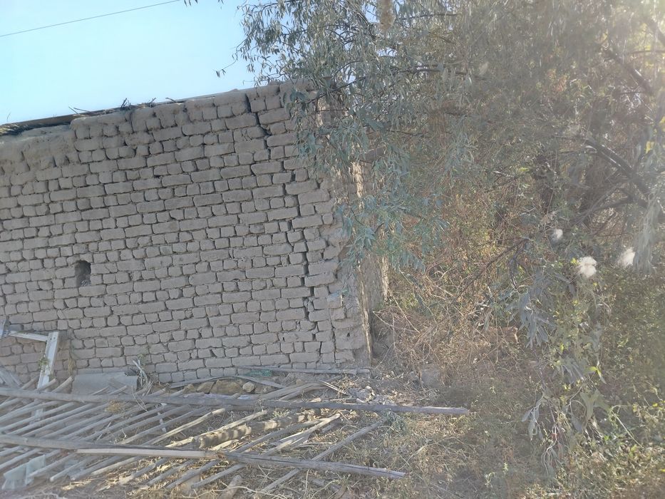 Уш болели мал кора сатылады