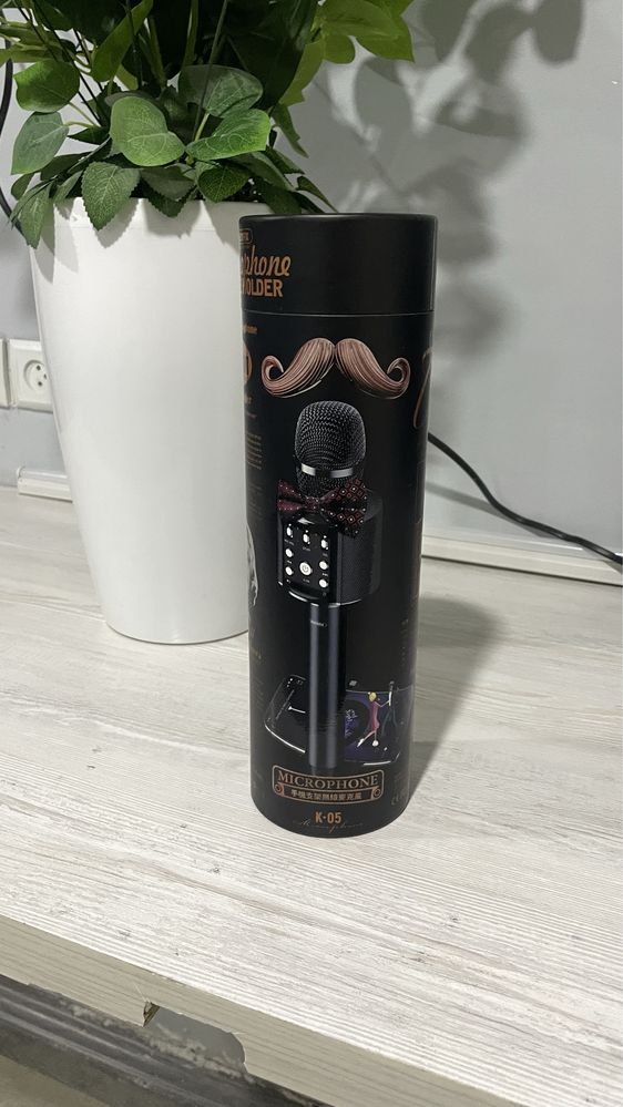 Mikrofon karaoke