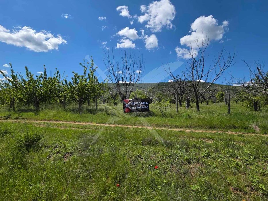 Продава се Парцел в с. Брестник, Област Пловдив - 1125 кв.м за 50 €/кв.м - Снимка #2