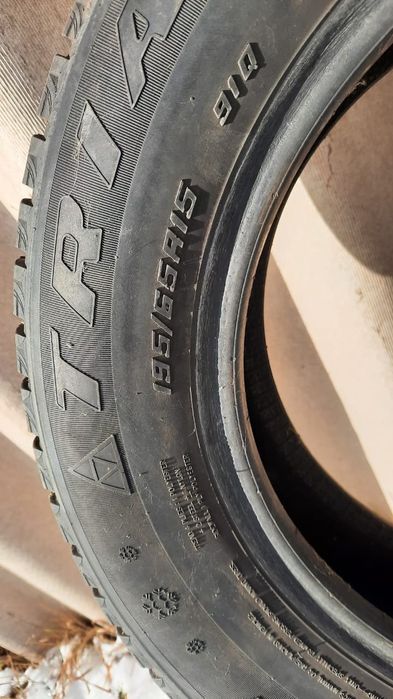 Зимние шины Triangle