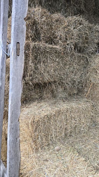 Fân otavă si lucernă de vânzare