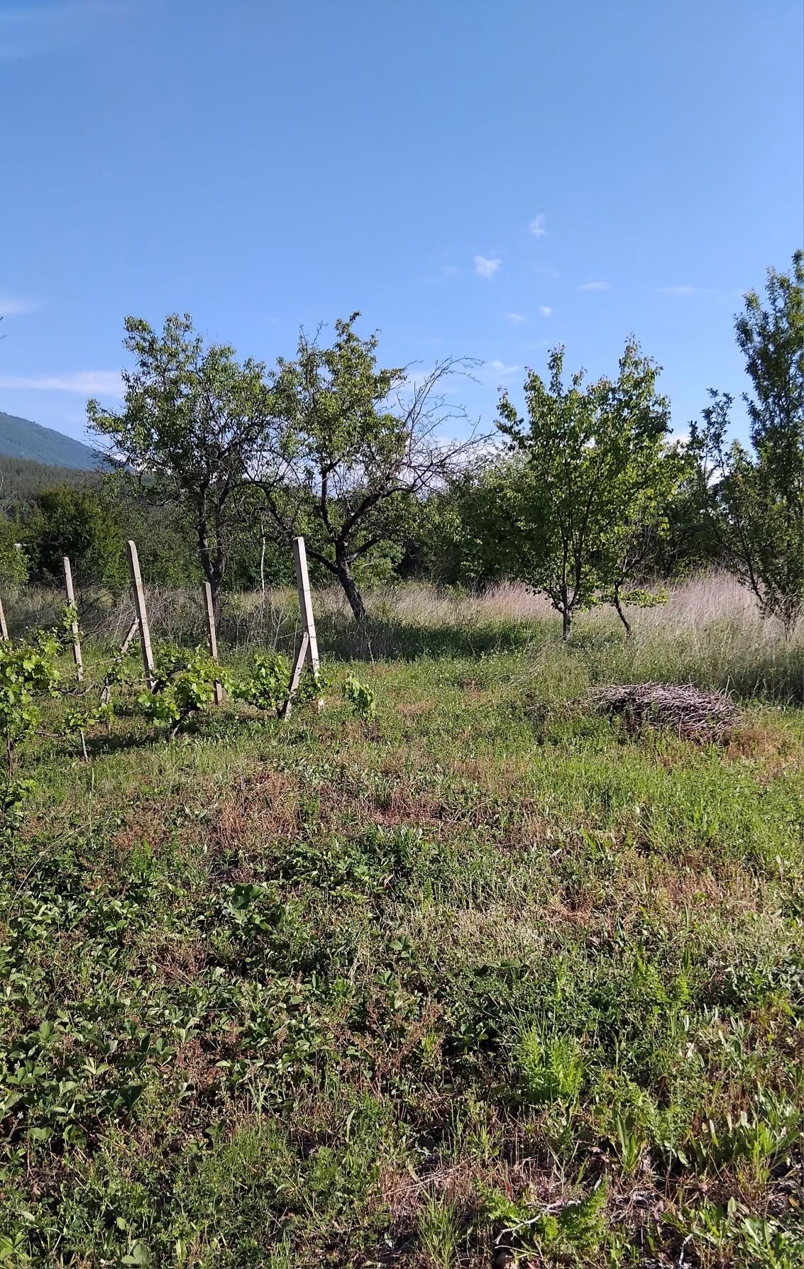 Продава парцел в гр.Дупница