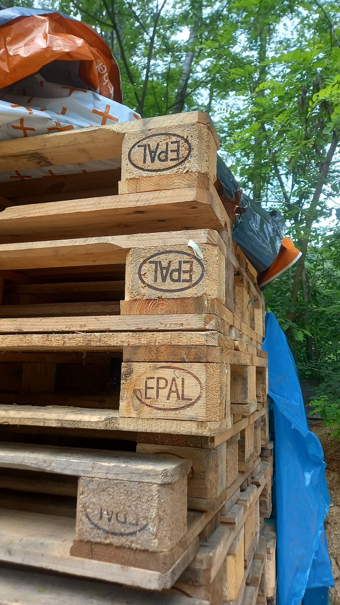 Vând paleți euro/non euro 1200x800