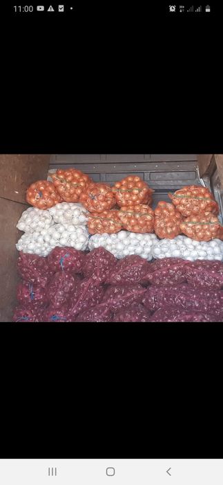 Ceapa galbena si rosie