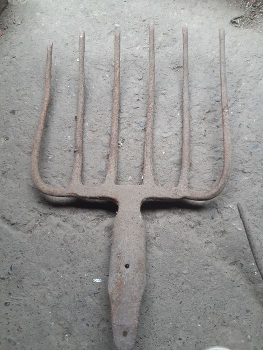 Vand furcă cu 6 coarne în Turda