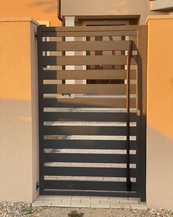 Porti si garduri moderne