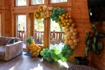 Arcada baloane  Safary / Decor evenimente / Cristelnita/Botez/Majorat