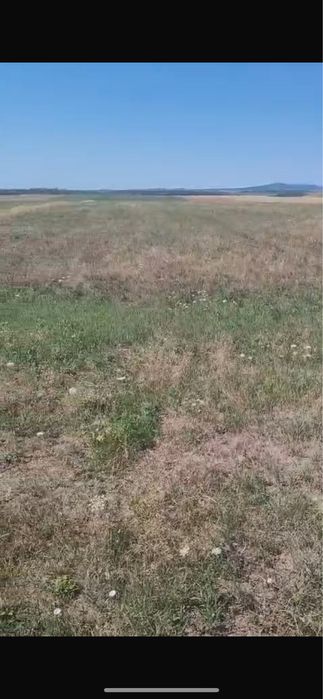 Vand 2 ha teren extravilan, agricol, Petroasa Mare, Jud Timis