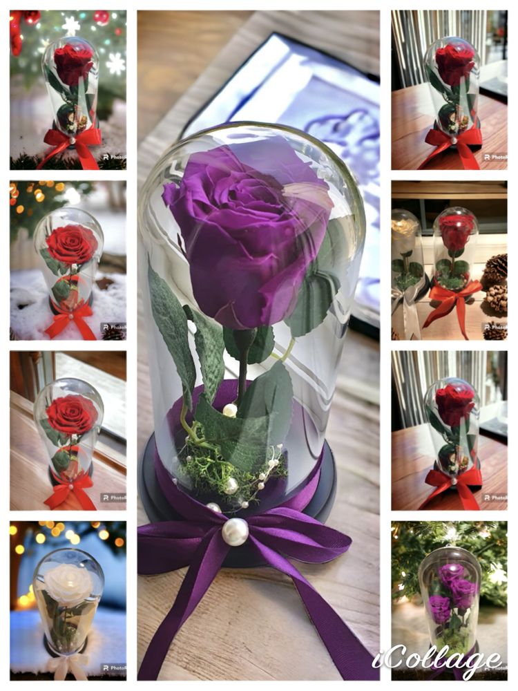Trandafir criogenat mov 17-20-25 cm