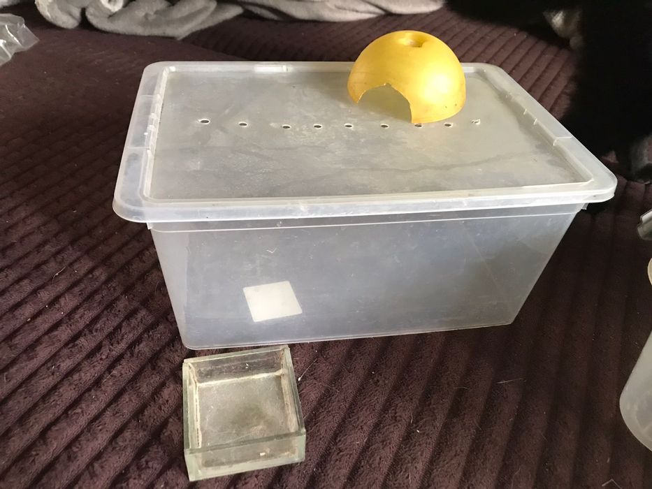 Террариум пластиковый