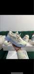 Off-white odsy-1000