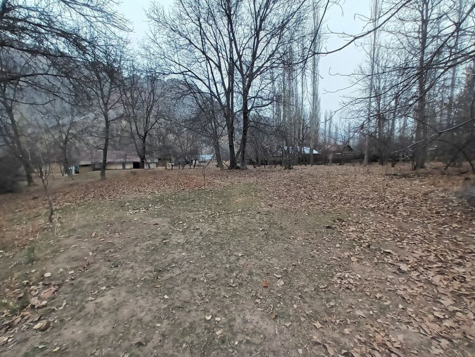 Здравствуйте дорогие друзья я вам обейвляю у меня есть земля каторие в